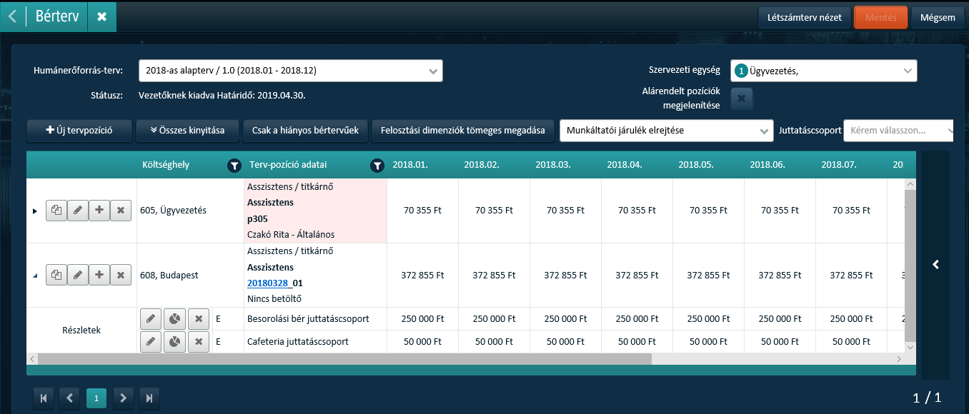 Position_FTE_and_budget_plan_by_managers_07.png