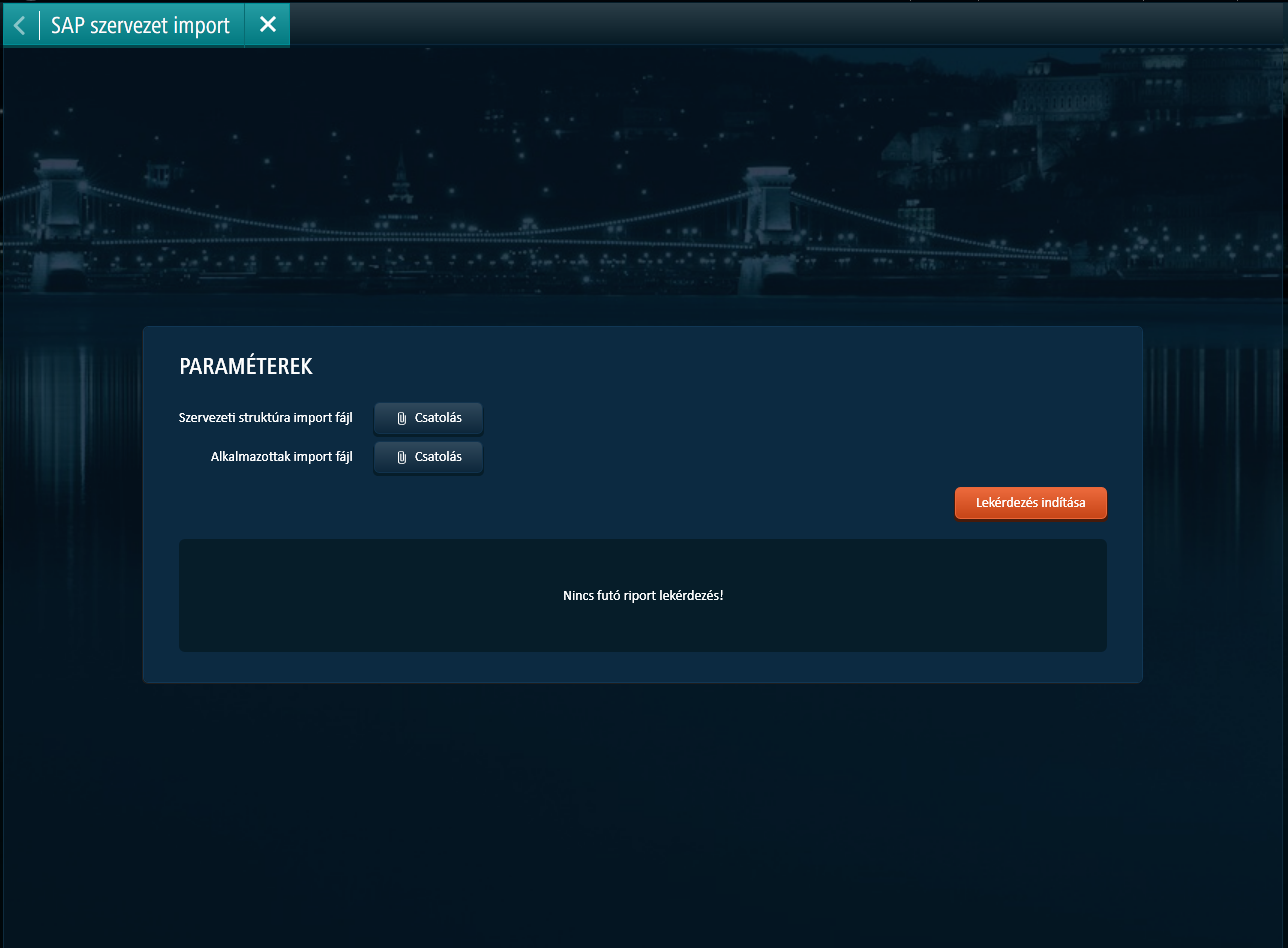SAP_organization_management_interface_01.png