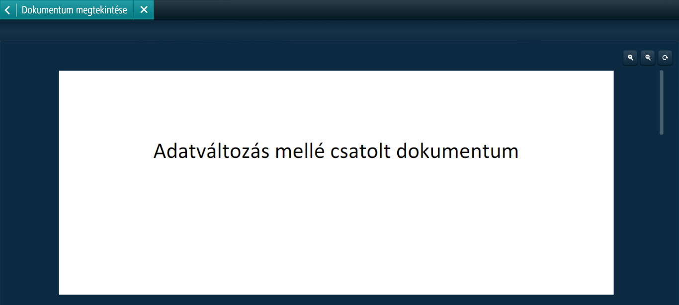 View_document_attached_01.png